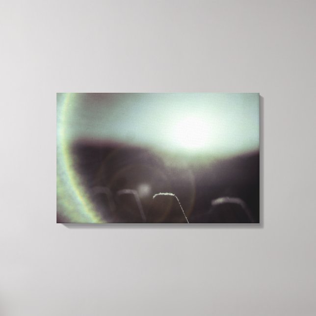 Lienzo Icy Sun de Alexandra Cook (Anverso)