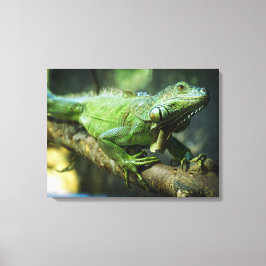 Lienzo Iguana Verde