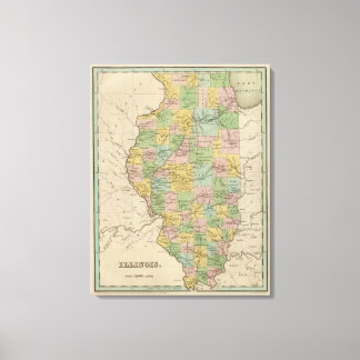 Lienzo Illinois 10