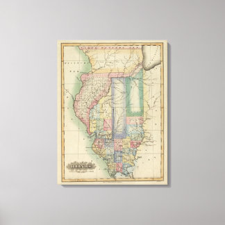 Lienzo Illinois 6