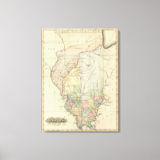 Lienzo Illinois 7