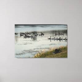 Lienzo Illinois vive