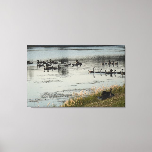 Lienzo Illinois vive (Anverso)