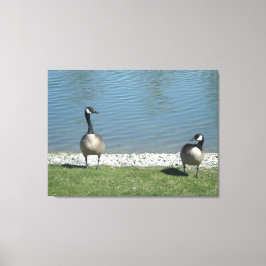 Lienzo Illinois vive