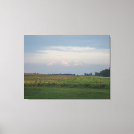 Lienzo Illinois vive