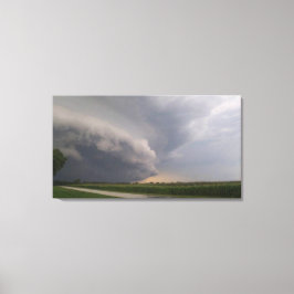 Lienzo Illinois vive