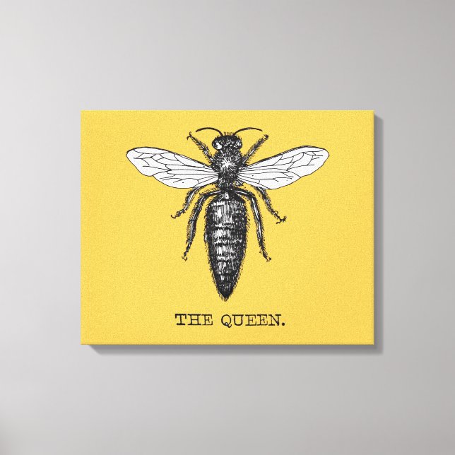 Lienzo Ilustración antigua de insecto bug abeja reina (Anverso)