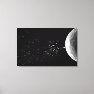 Lienzo Ilustracion blanco y negro de la fertilización