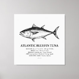 Lienzo Ilustración científica del atún rojo del Atlántico