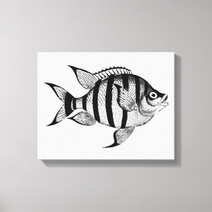 Lienzo Ilustracion de animales marinos de peces de época