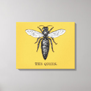Lienzo Ilustracion de antigüedades de insectos de Queen B