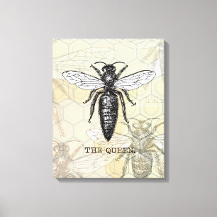 Lienzo Ilustracion de antigüedades de insectos de Queen B