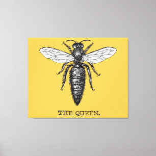 Lienzo Ilustracion de antigüedades de insectos de Queen B