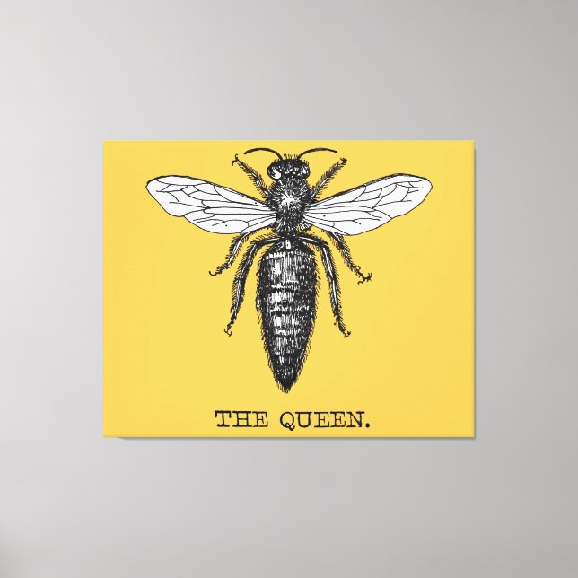 Lienzo Ilustracion de antigüedades de insectos de Queen B (Anverso)
