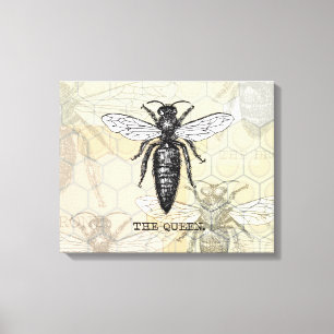 Lienzo Ilustracion de antigüedades de insectos de Queen B