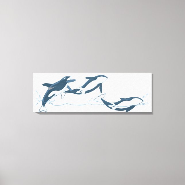 Lienzo Ilustracion de Ballenas Asesinas (Orcinus orca) (Anverso)