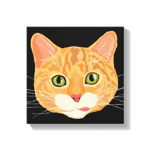 Ilustracion de cara de gato Naranja suave