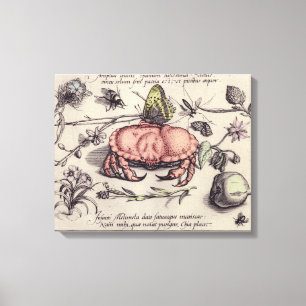 Lienzo Ilustración de flor de insecto botánico de cangrej