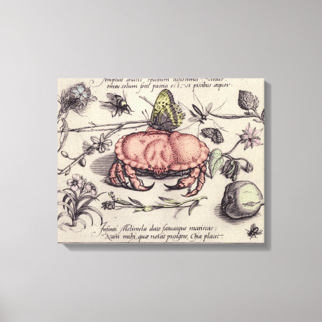 Lienzo Ilustración de flor de insecto botánico de cangrej (Anverso)