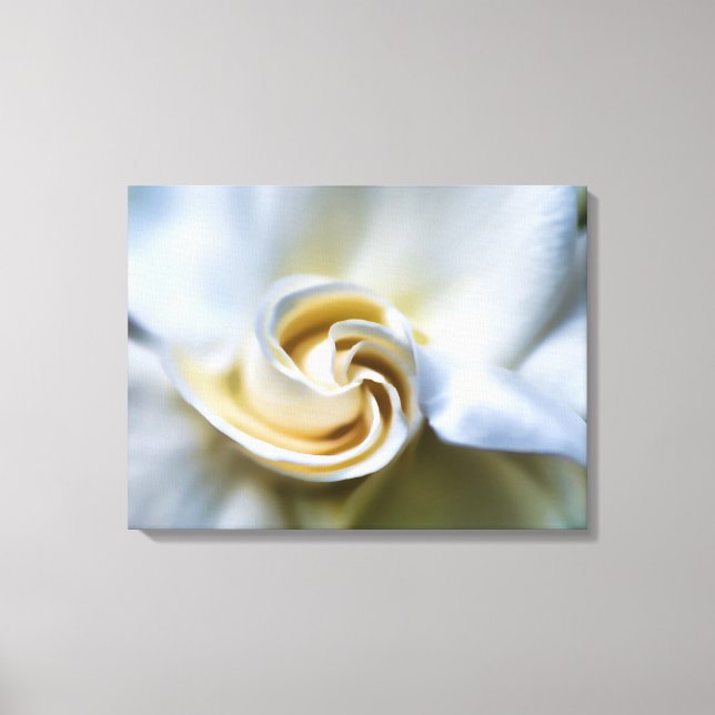 Lienzo Ilustracion de Gardenia Blanca (Anverso)