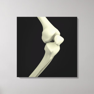 Lienzo Ilustracion De Hueso De Knee, Bendición