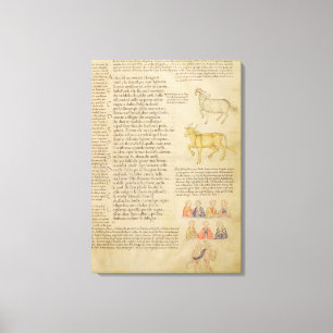 Lienzo Ilustración de la página fol.171 de ms Italien 87