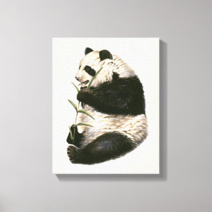 Lienzo Ilustracion de la panda gigante que alimenta en