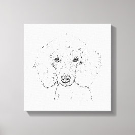 Lienzo Ilustración de perro caniche lindo, dibujado a man