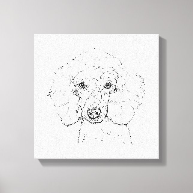 Lienzo Ilustración de perro caniche lindo, dibujado a man (Anverso)