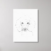 Ilustración de perro caniche lindo, dibujado a man