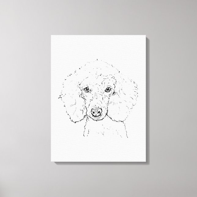 Lienzo Ilustración de perro caniche lindo, dibujado a man (Anverso)