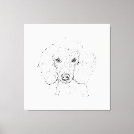 Lienzo Ilustración de perro caniche lindo, dibujado a man