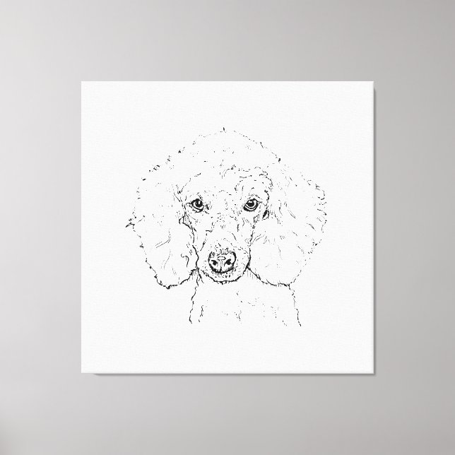 Lienzo Ilustración de perro caniche lindo, dibujado a man (Anverso)