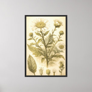 Lienzo Ilustración de placa de flor botánica vintage