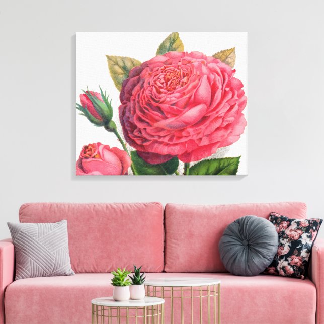 Lienzo Ilustración de rosa rosa vintage (Insitu (Sala de estar))