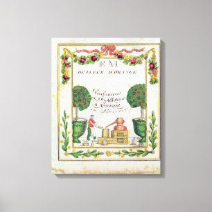 Lienzo Ilustración del 'd'Orange de Eau de Fleur