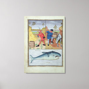 Lienzo Ilustracion del 'libro de las medicinas simples