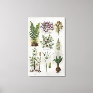 Lienzo Ilustracion en el "" LUNES DOCTEUR "