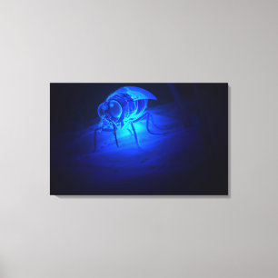 Lienzo Ilustracion luminescente de una mosca de tsetse