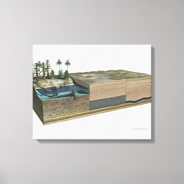 Lienzo Ilustracion que muestra la formación de carbón (Anverso)