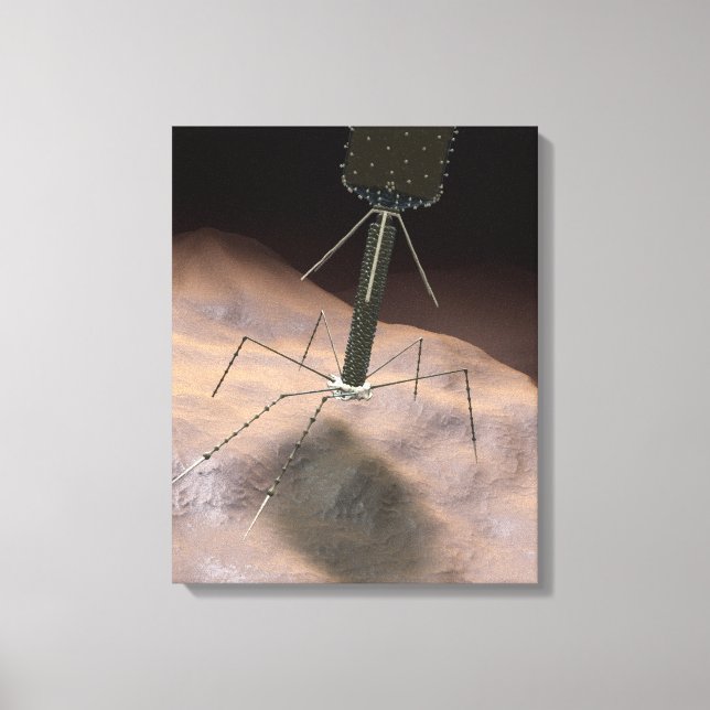 Lienzo Ilustracion realista de bacteriófago (Anverso)
