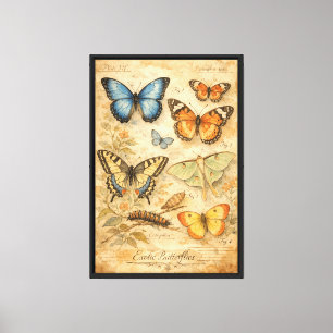Lienzo Ilustración Vintage de Mariposas Exóticas