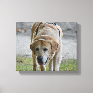 Lienzo Imagen amarillo LAb