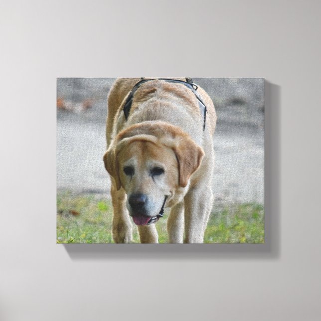 Lienzo Imagen amarillo LAb (Anverso)