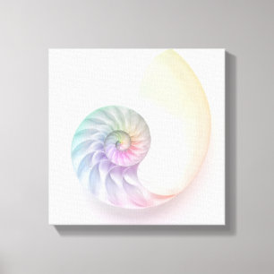 Lienzo Imagen coloreada artística del nautilus