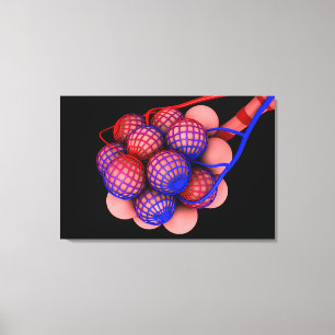 Lienzo Imagen Conceptual De Alveoli 1