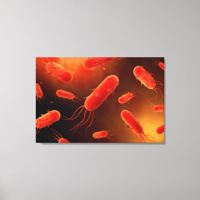 Lienzo Imagen Conceptual De Flagellate Bacterium 1 (Anverso)