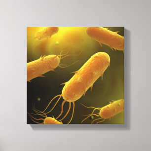 Lienzo Imagen Conceptual De Flagellate Bacterium 3