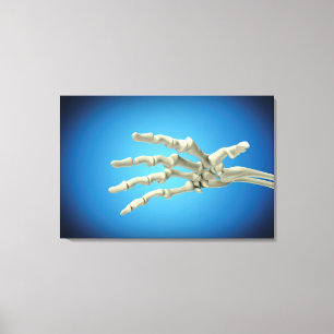 Lienzo Imagen Conceptual De Huesos En La Mano Humana 1