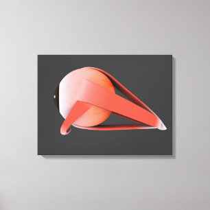 Lienzo Imagen conceptual de la anatomía 7 del ojo humano